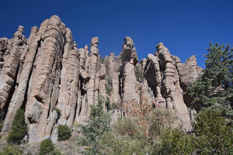 organ pipe formatons